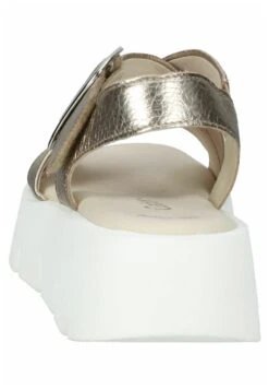 Gabor Sandalen - Puder 12 Gabor Sandalen - Puder -Gabor Winkel 08f02f6e0bd142a0803d1aa172781aed