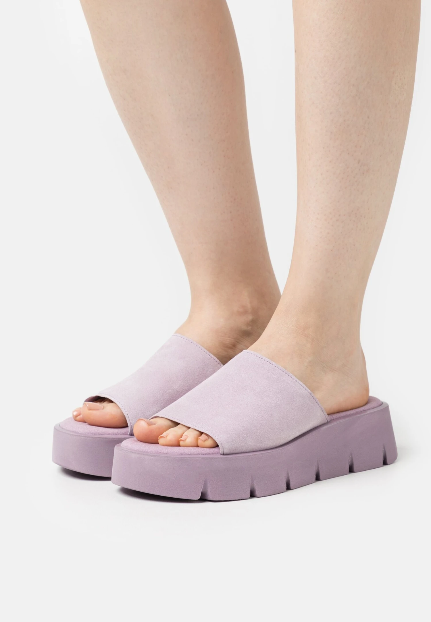 Gabor Muiltjes - Lavendel 3 Gabor Muiltjes - Lavendel