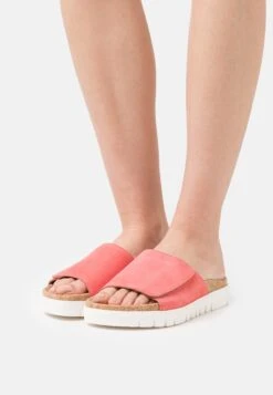 Gabor Muiltjes - Lobster