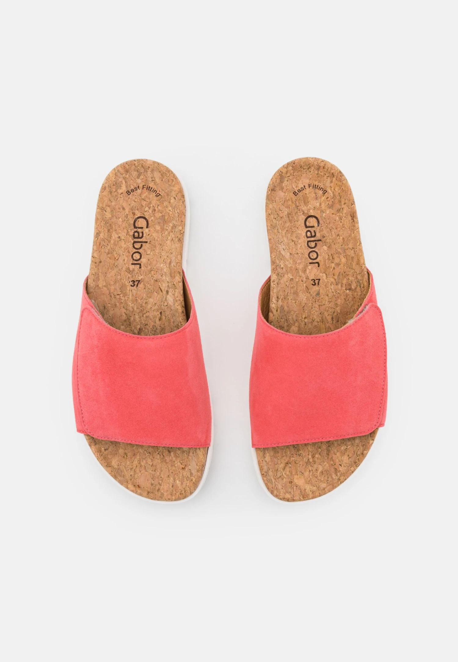 Gabor Muiltjes - Lobster 7 Gabor Muiltjes - Lobster - Afbeelding 6